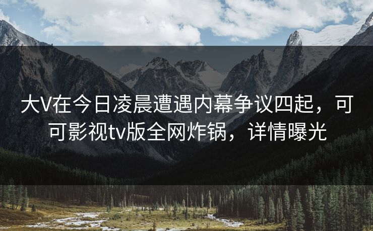大V在今日凌晨遭遇内幕争议四起，可可影视tv版全网炸锅，详情曝光