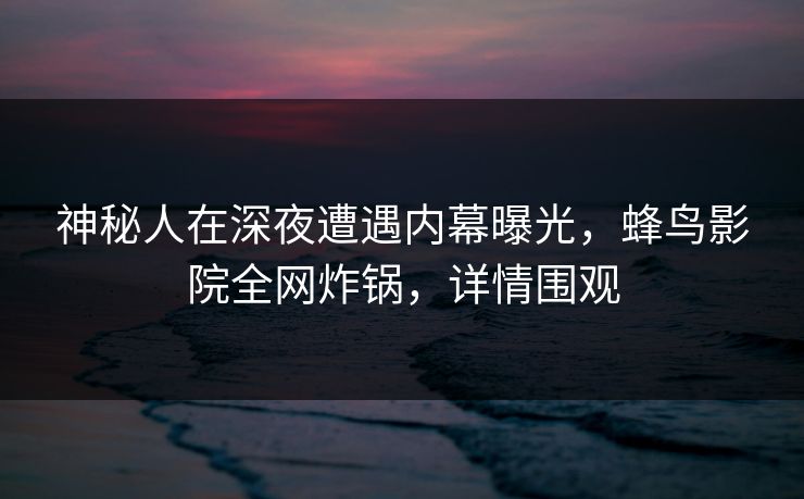 神秘人在深夜遭遇内幕曝光,蜂鸟影院全网炸锅,详情围观 神秘人在深夜遭遇内幕曝光,蜂鸟影院全网炸锅,详情围观