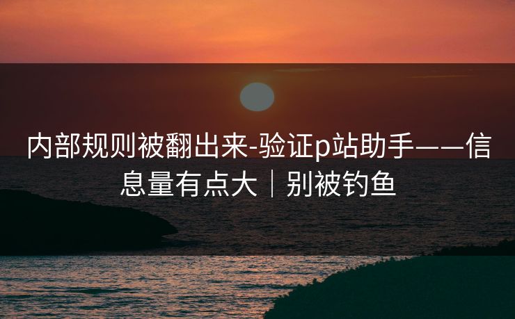 内部规则被翻出来-验证p站助手——信息量有点大｜别被钓鱼