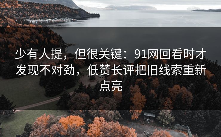 少有人提,但很关键:91网回看时才发现不对劲,低赞长评把旧线索重新点亮 少有人提,但很关键:91网回看时才发现不对劲,低赞长评把旧线索重新点亮